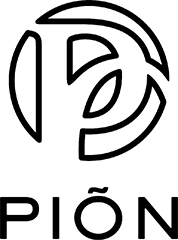 «PION»